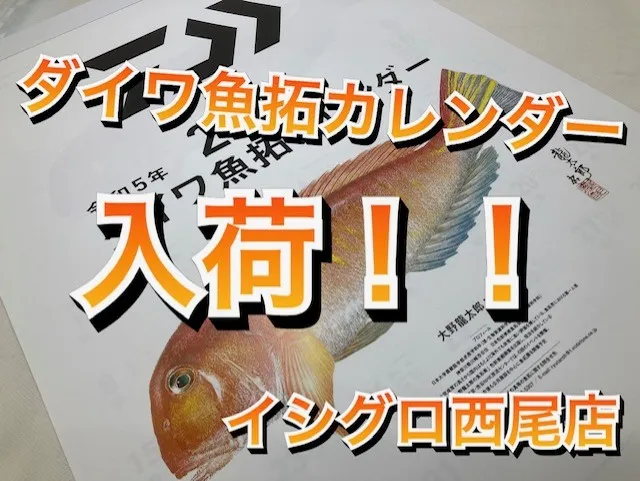 カレンダー入荷！]ダイワ魚拓カレンダー入荷！[イシグロ西尾店